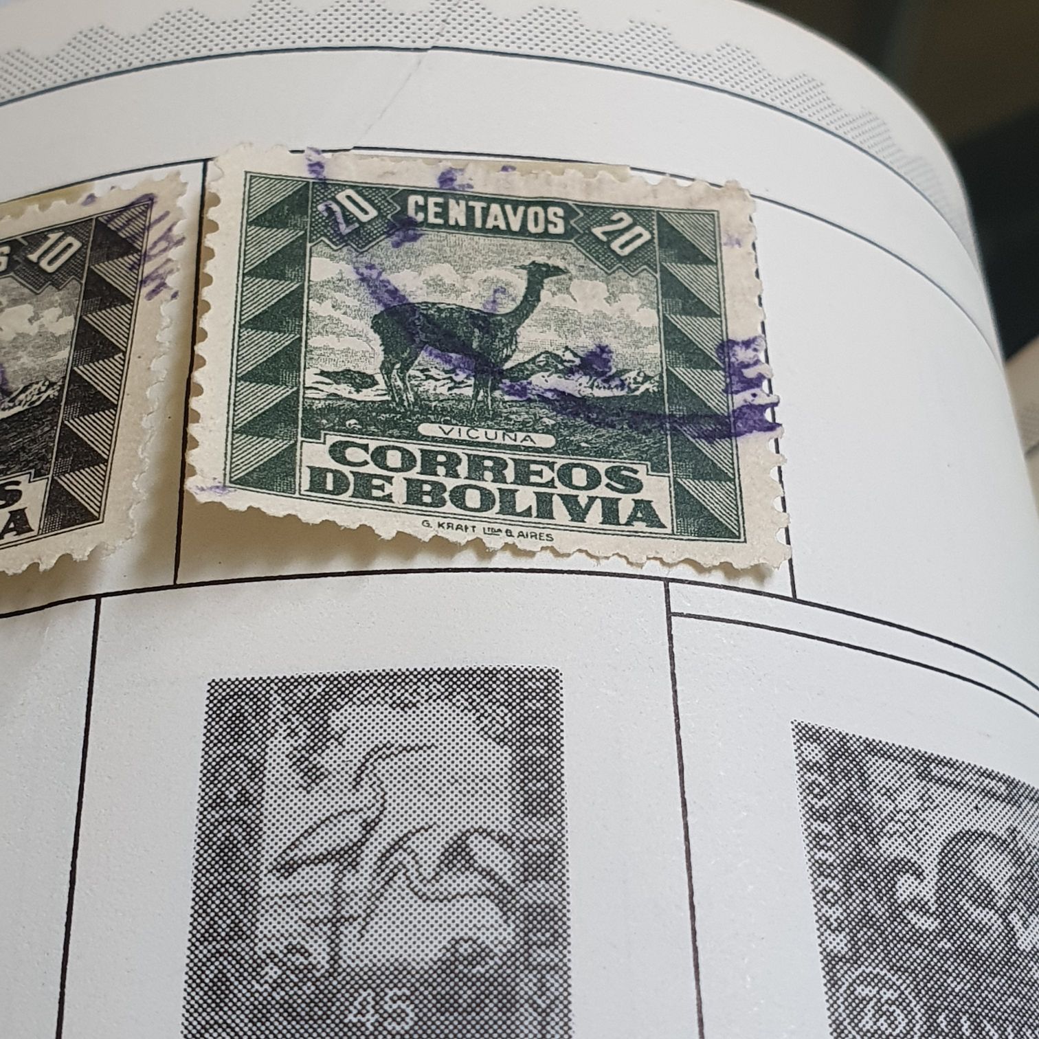 Vicuña  stamp collectible - Main Image 2