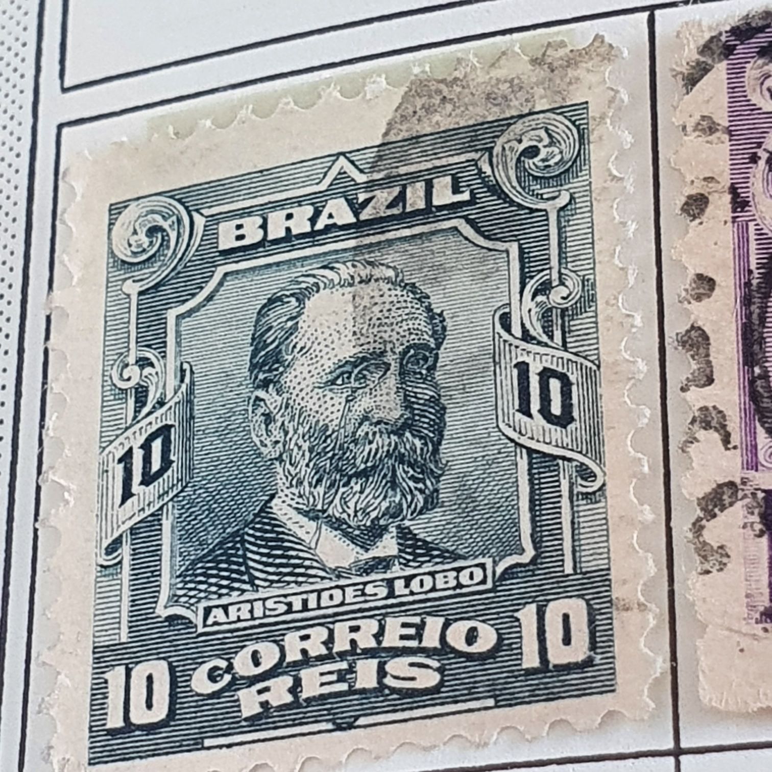 Fall Garden Flowers: Hydrangea