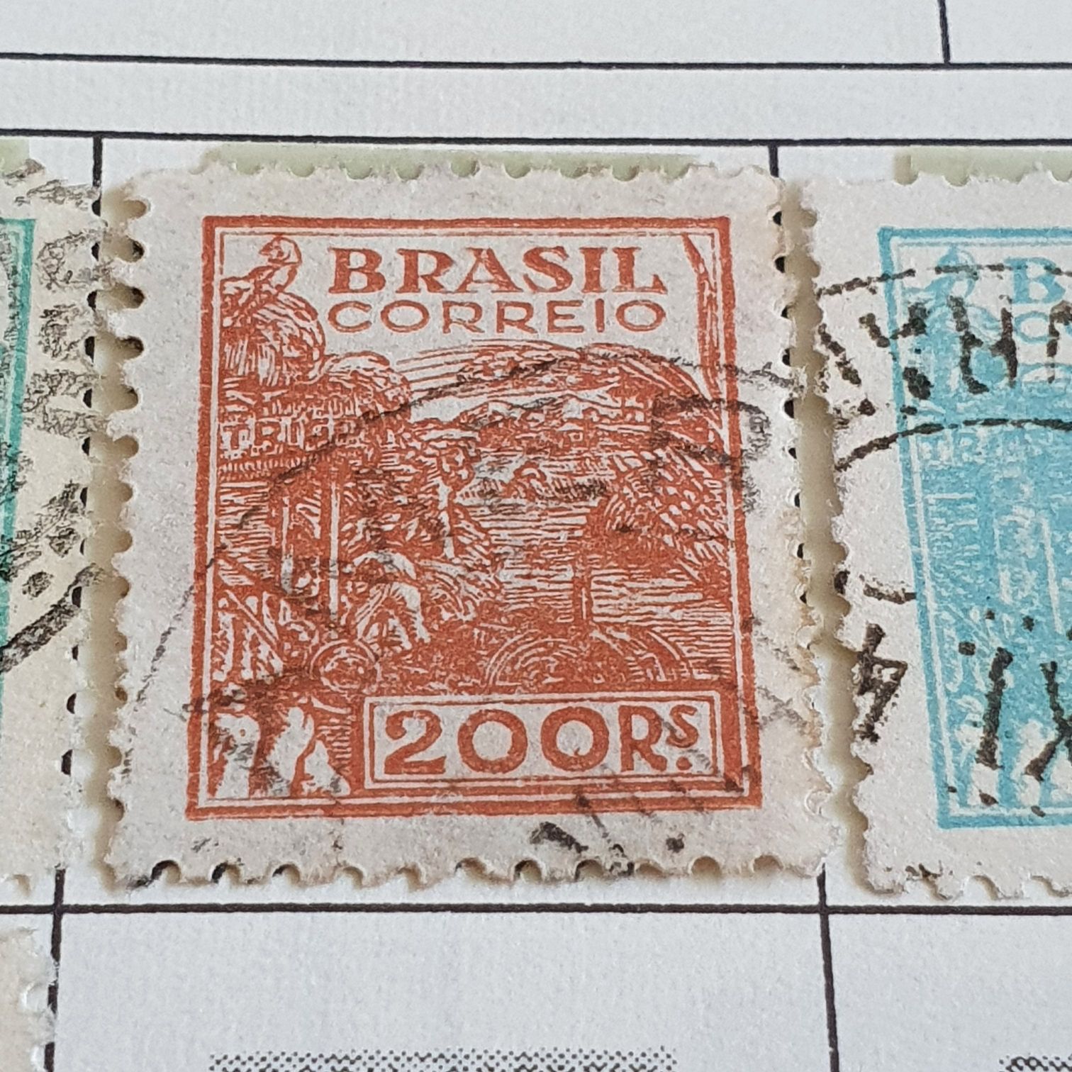 The Big Five Buffalo