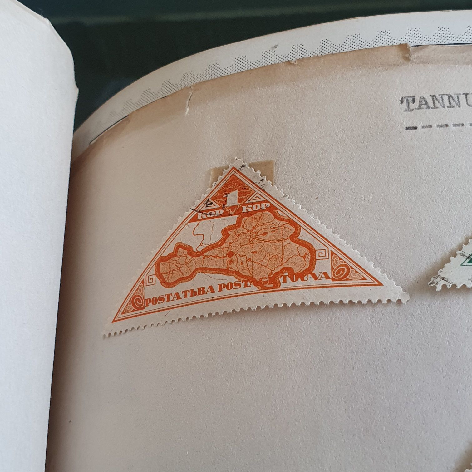 Womens Swimming Summer Olympics