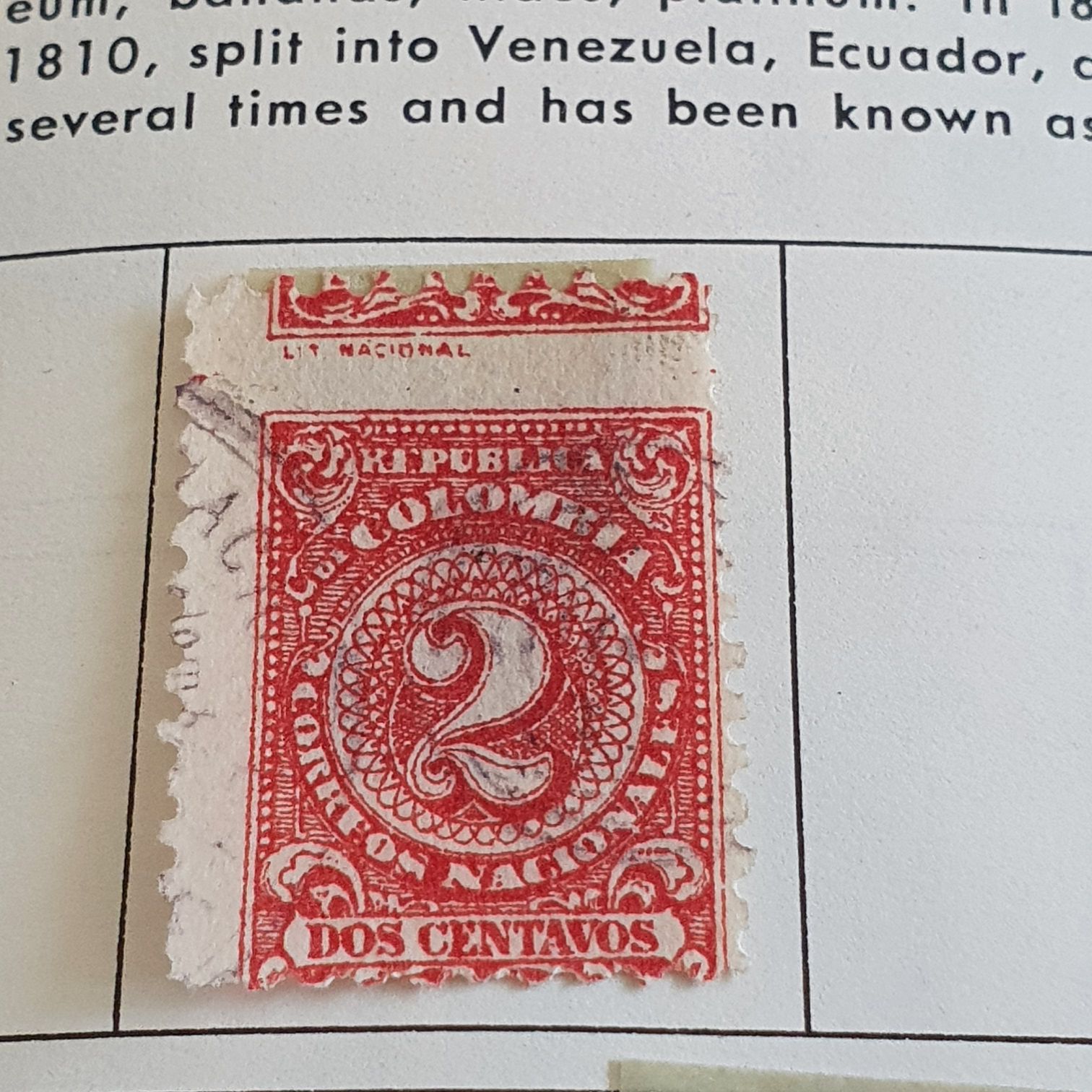 Adopt A Shelter Pet: Boston Terrier