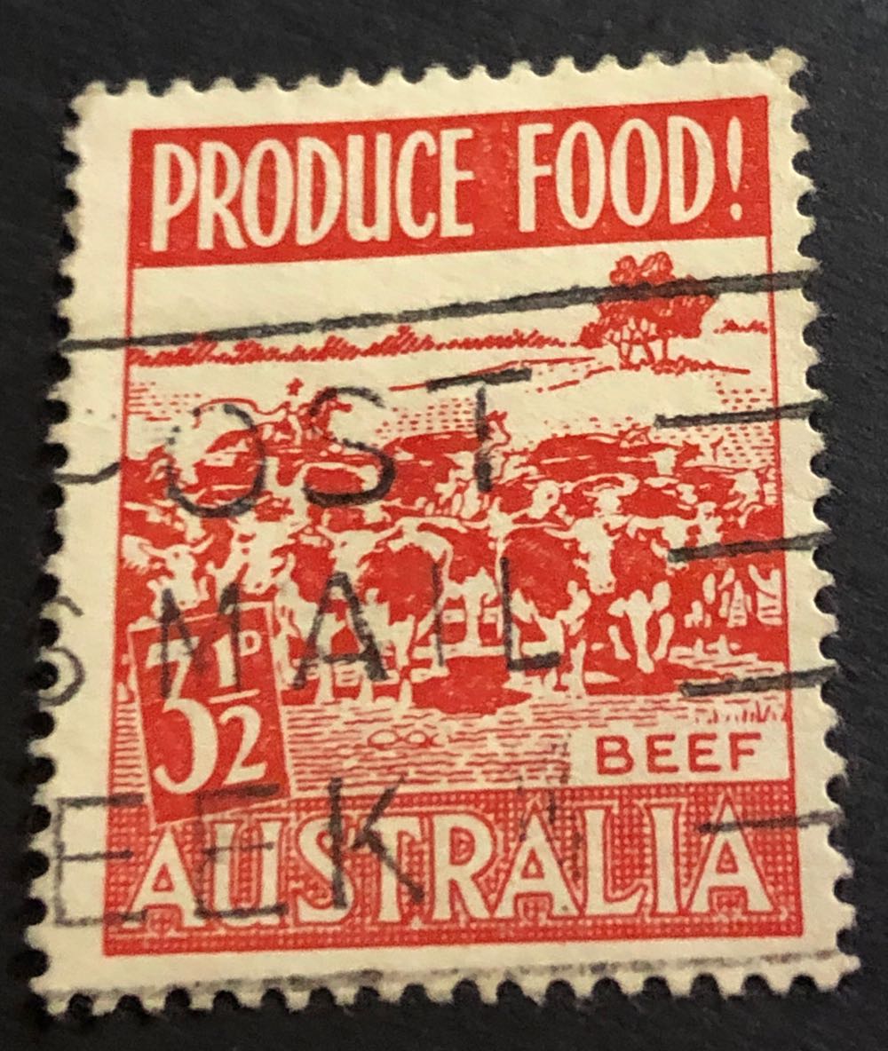 Light Brown Kangaroos