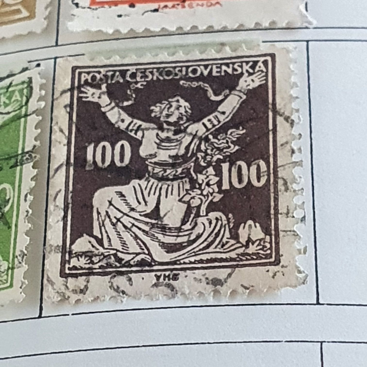 Winter Garden Flowers: Winter Aconite