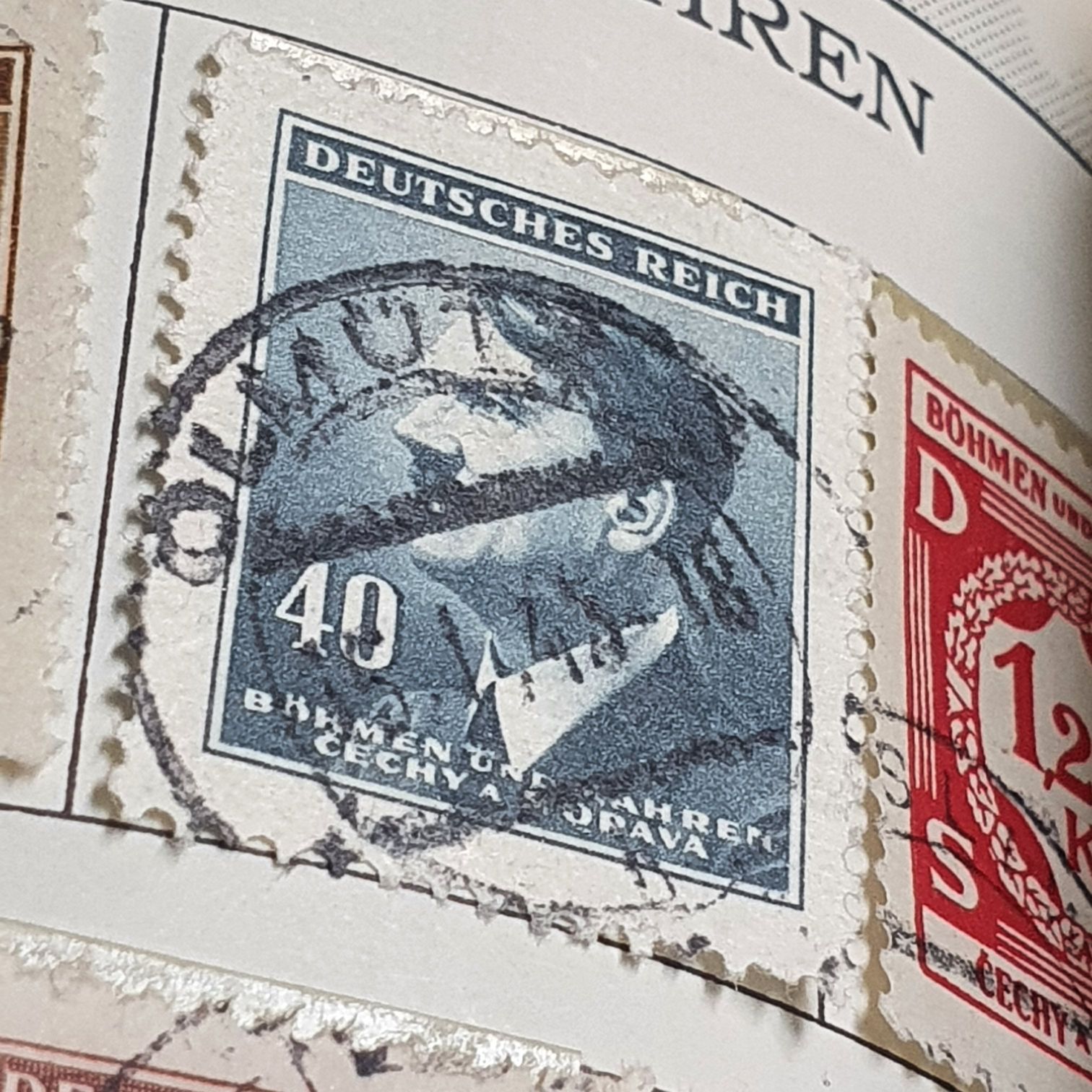 The Big Five Buffalo