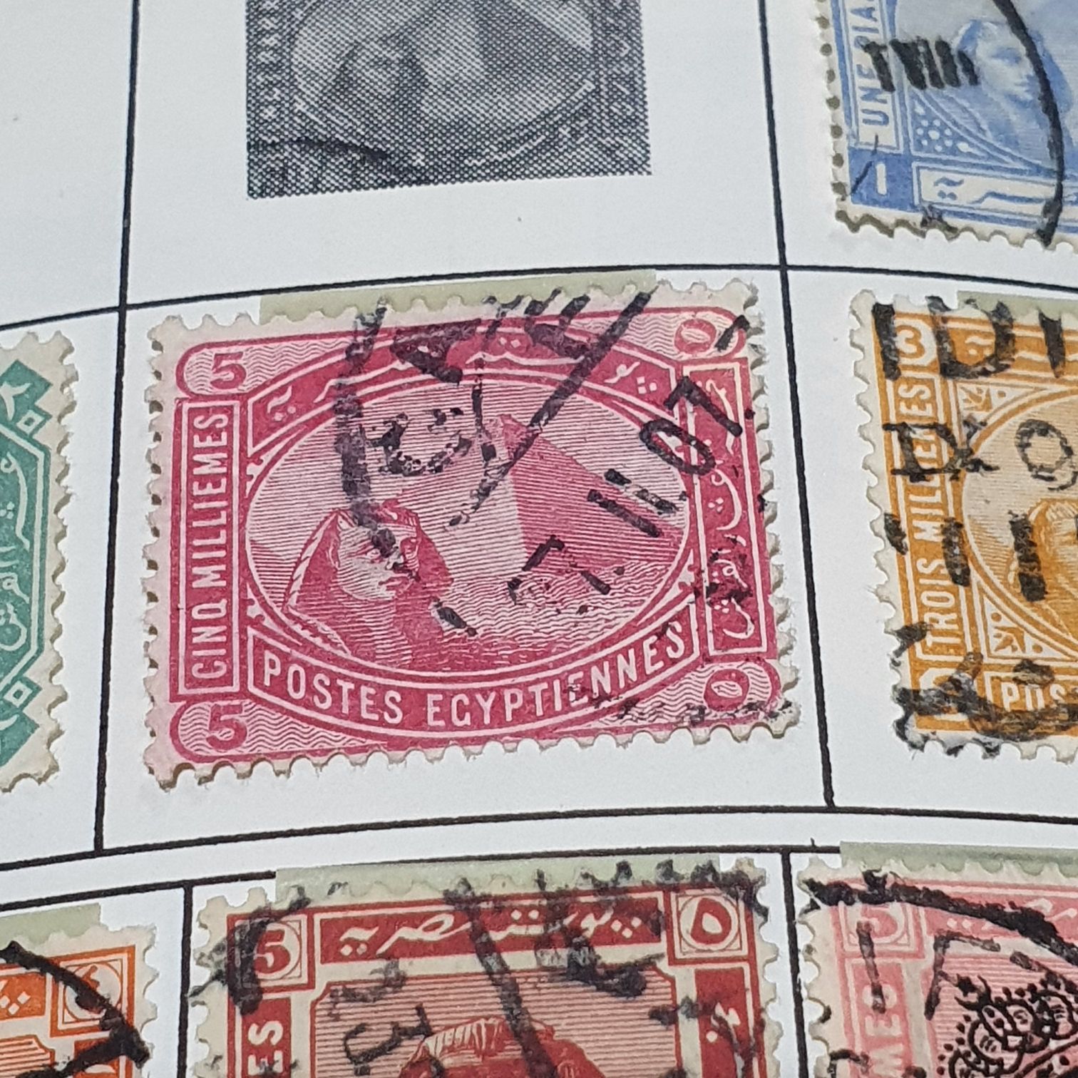 Winter Olympics 1988: Skiing