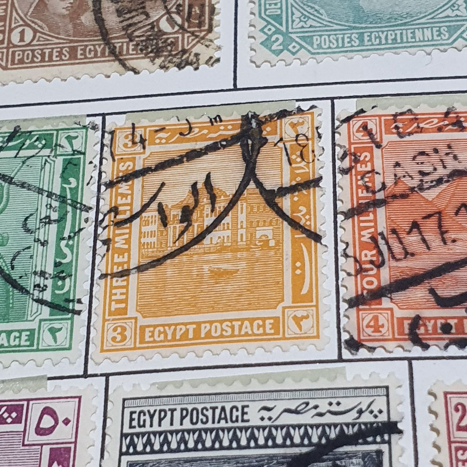 Professional Management