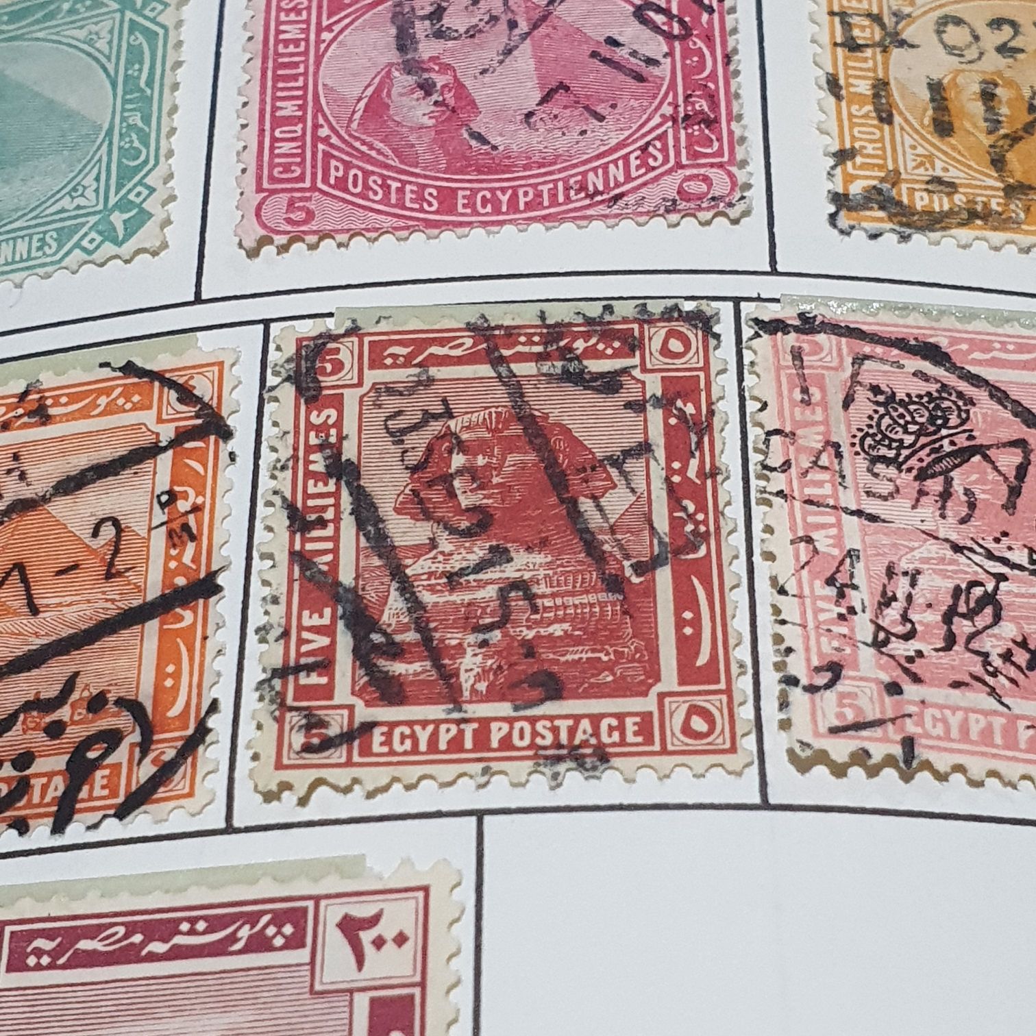 Enjoy the Great Outdoors