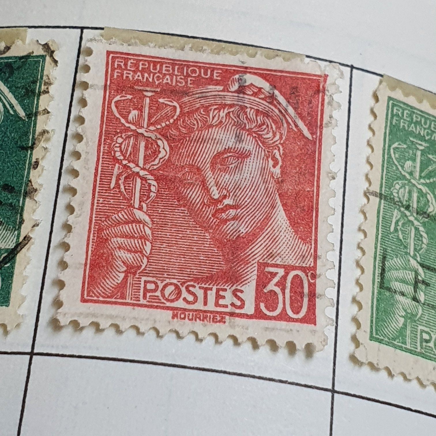 Himalayan Biodiversity