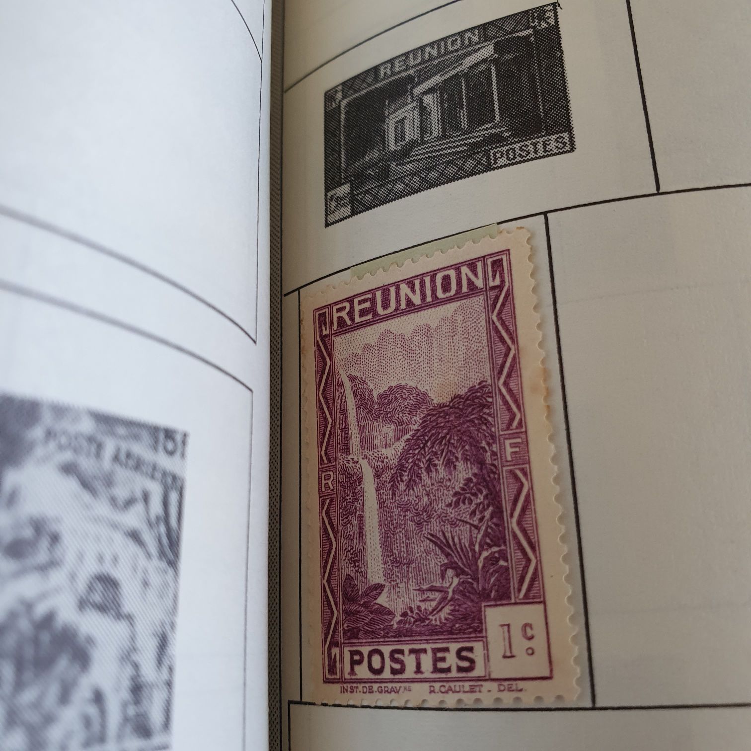 Natural History: American Bald Eagle