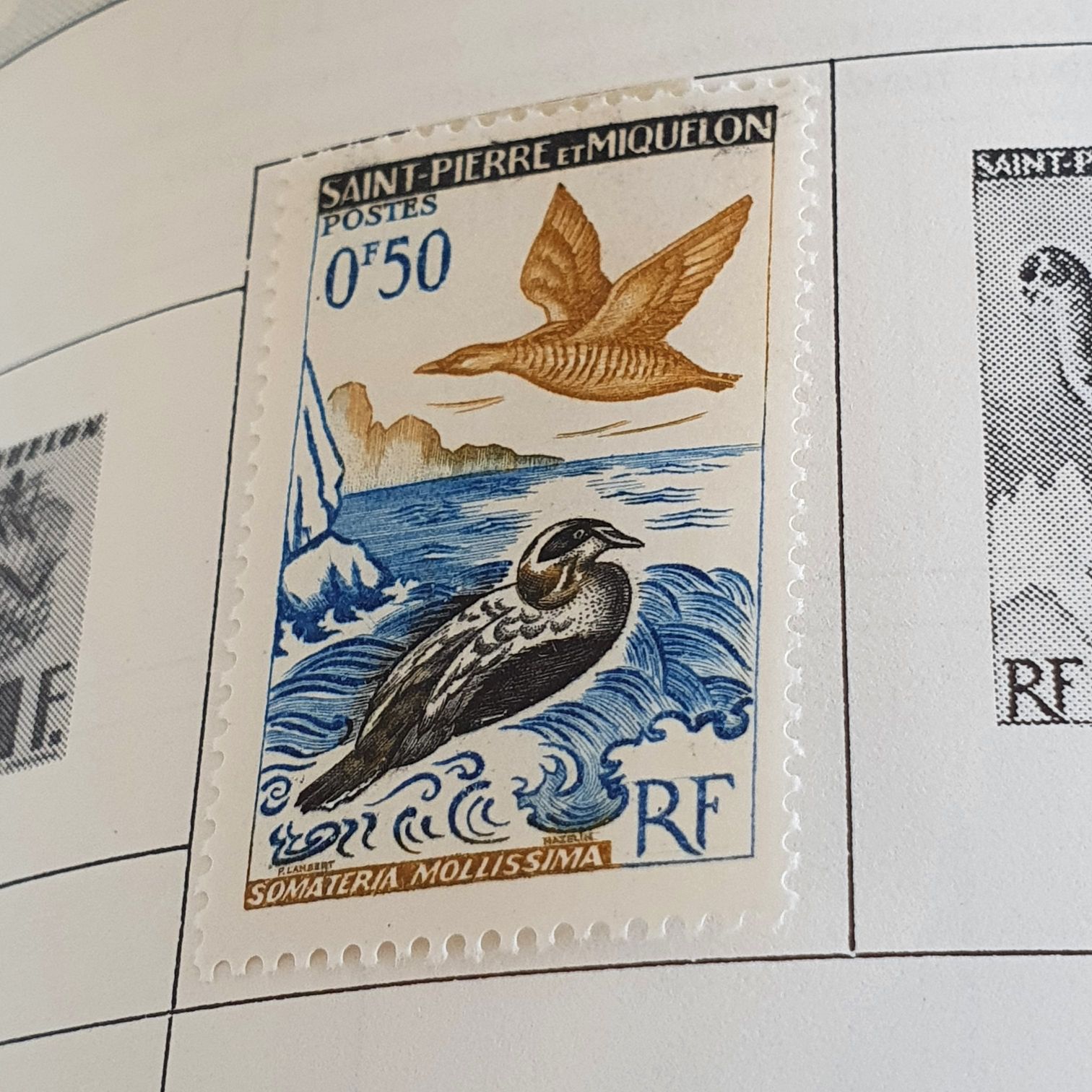 St. Pierre  stamp collectible - Main Image 2