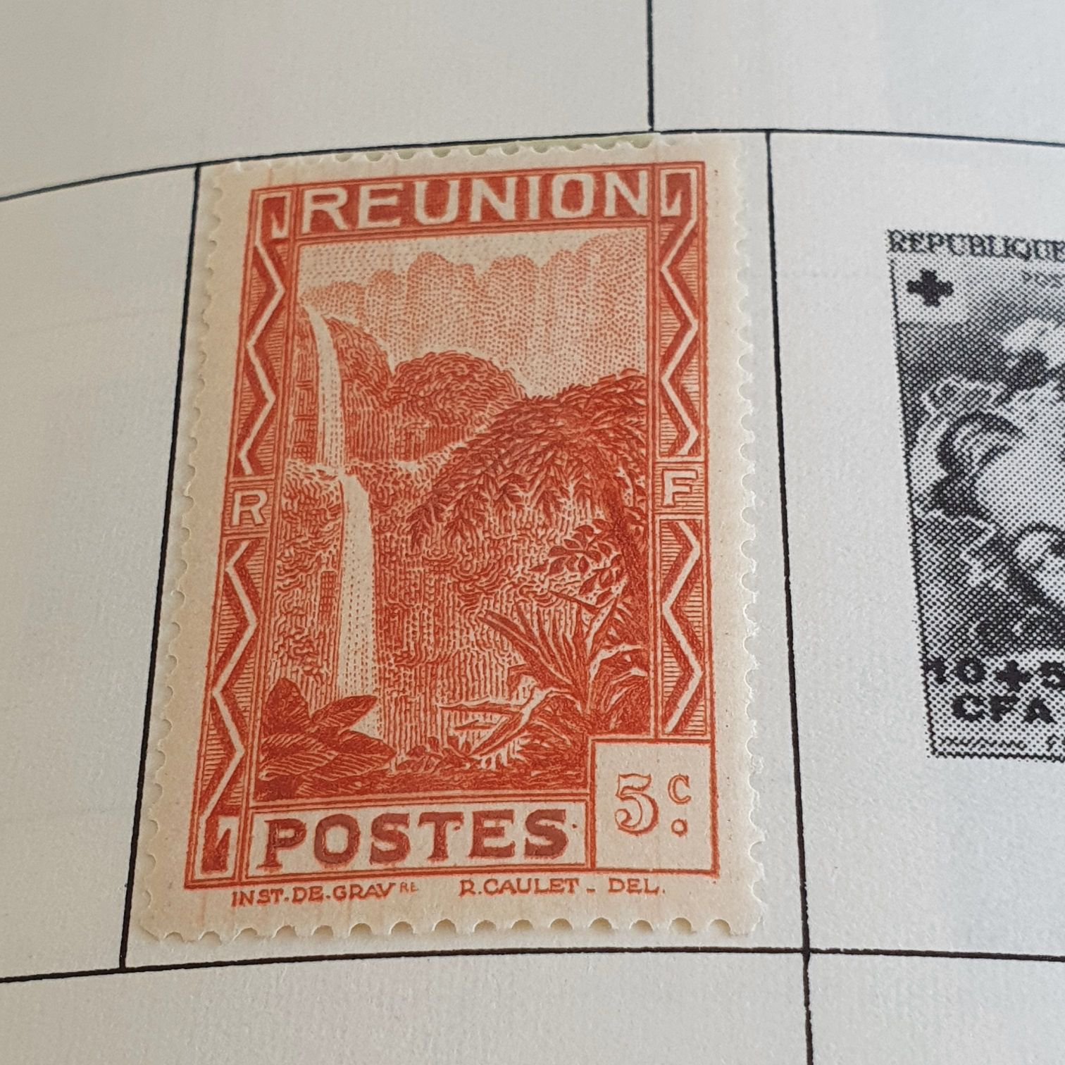 Adopt A Shelter Pet: Golden Retriever