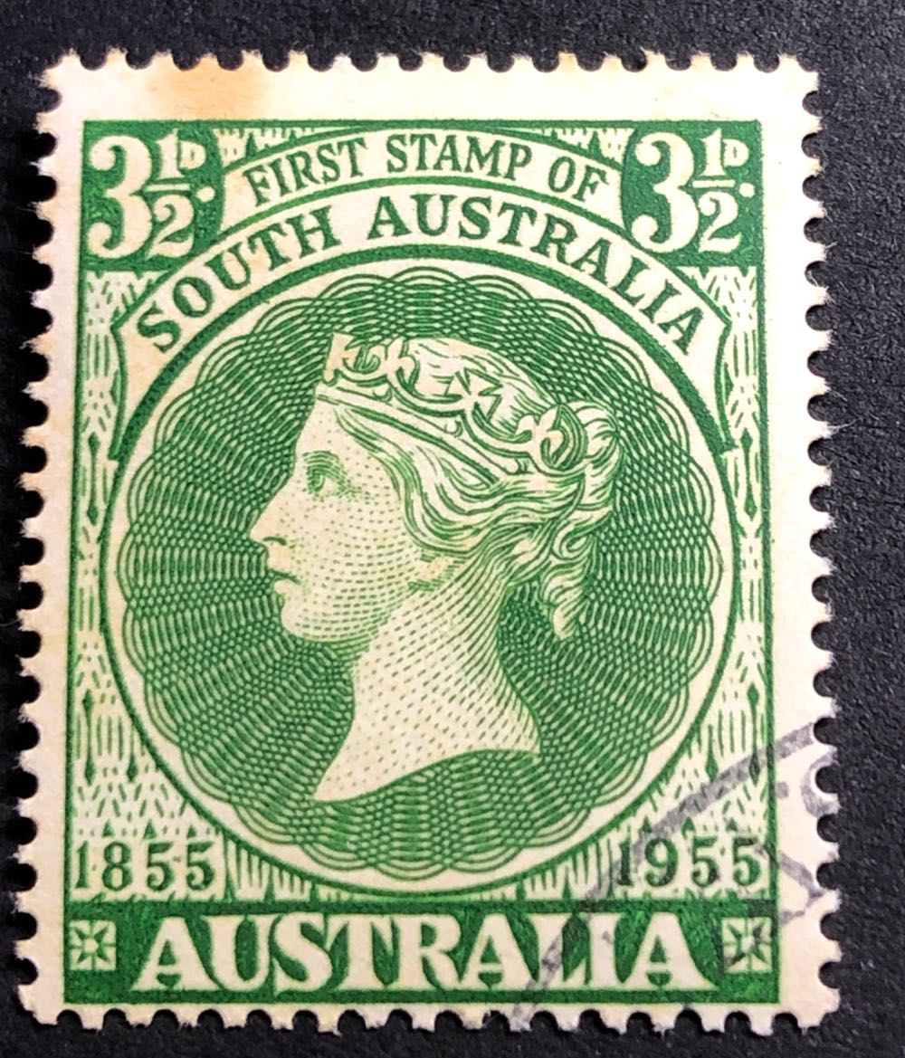 4484 Balsam Fir [FOREVER]