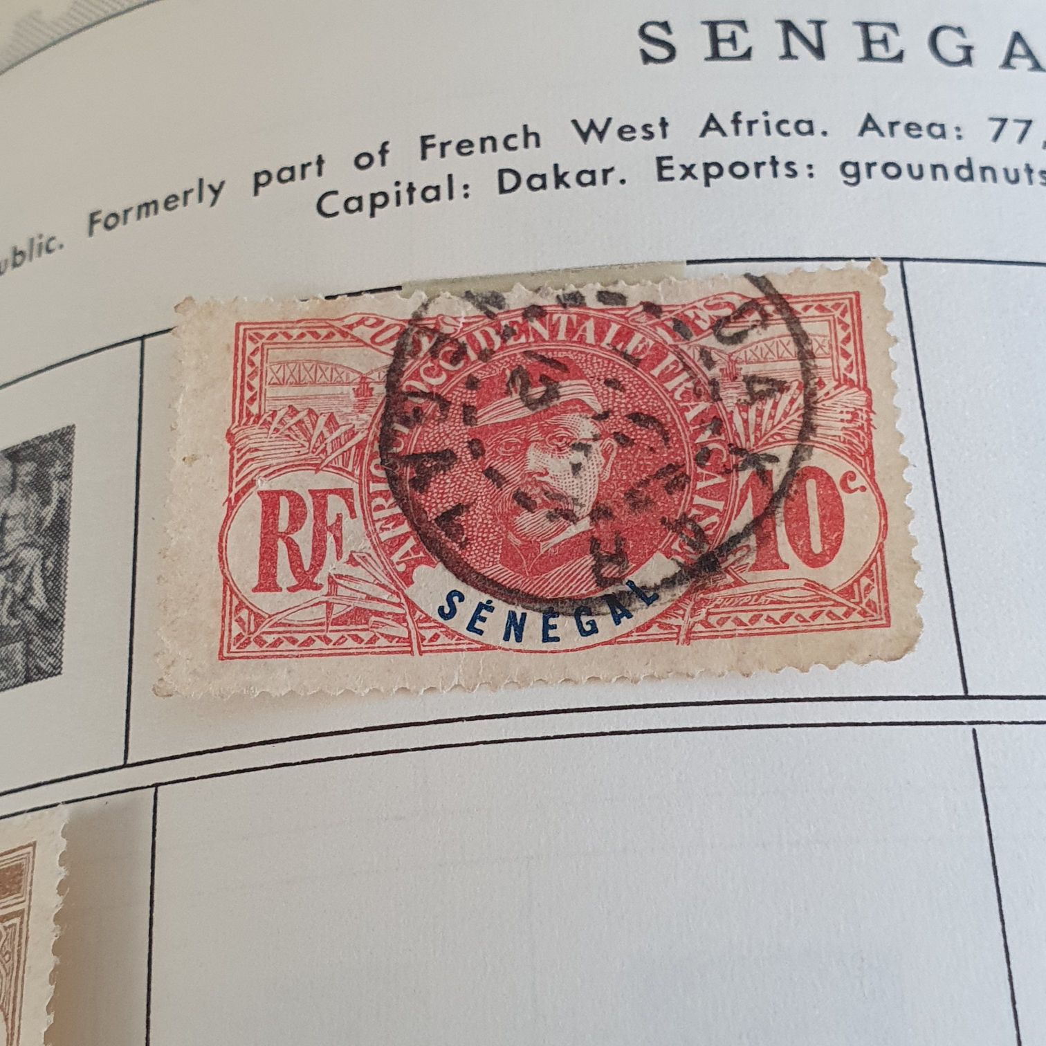 International Polar Year