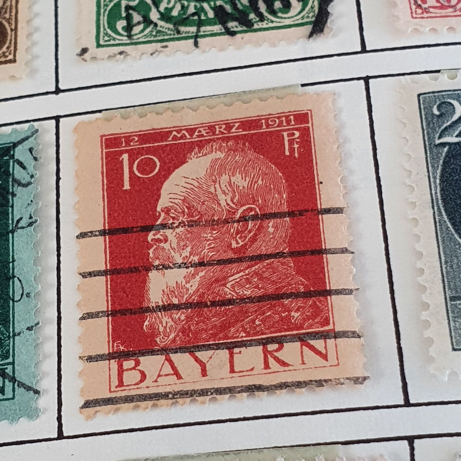 Ornithoptera Meridionalis