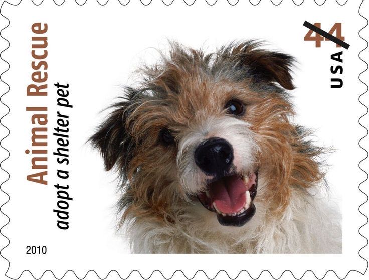 4451 Animal Rescue: Adopt a Shelter Pet — Wire-Haired Jack Russell  stamp collectible - Main Image 1