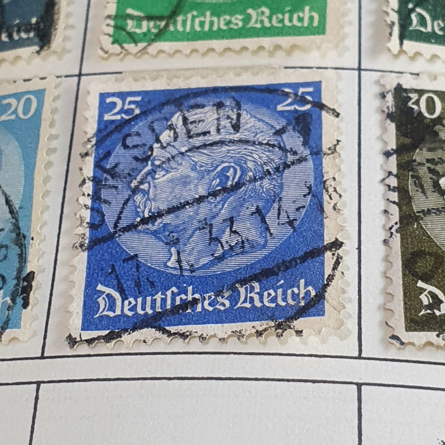 Holiday Evergreens: Balsam Fir