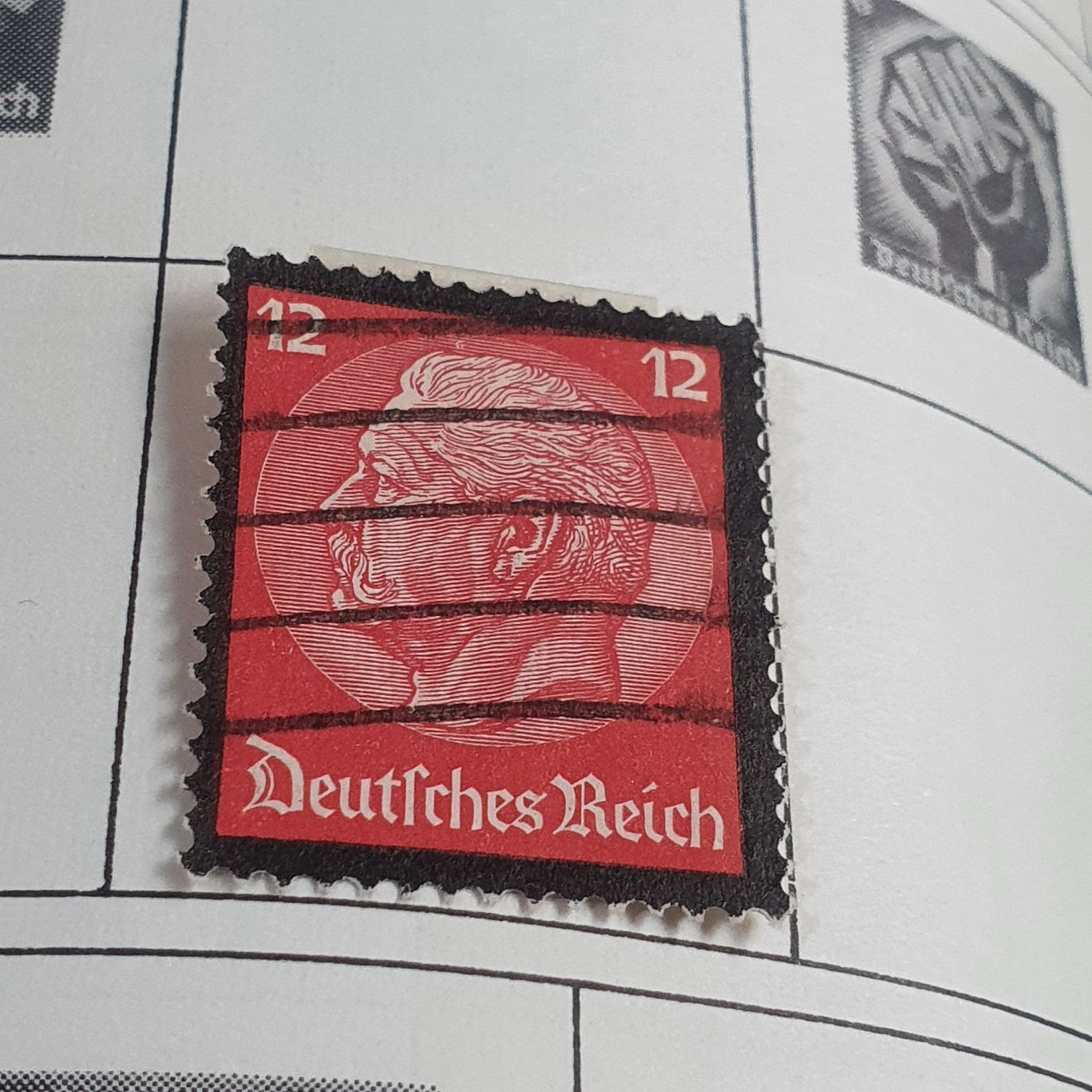 Tropical Flowers: Bird Of Paradise