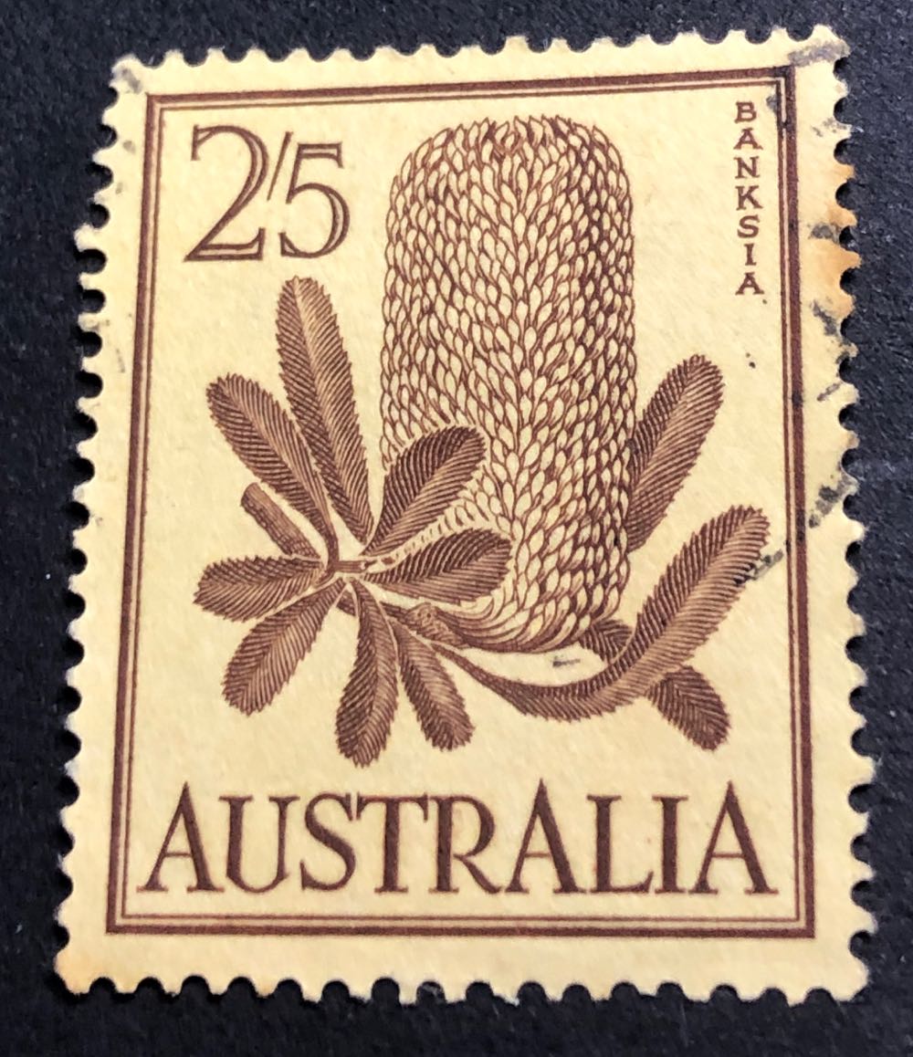 2 Bright Blue Crown Man