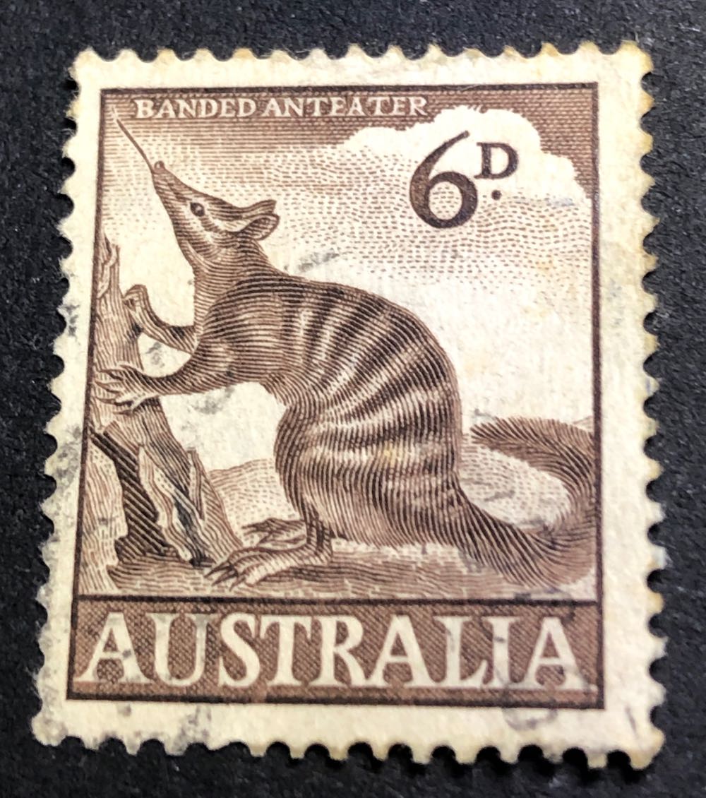 Fighting Helicopters Of The World