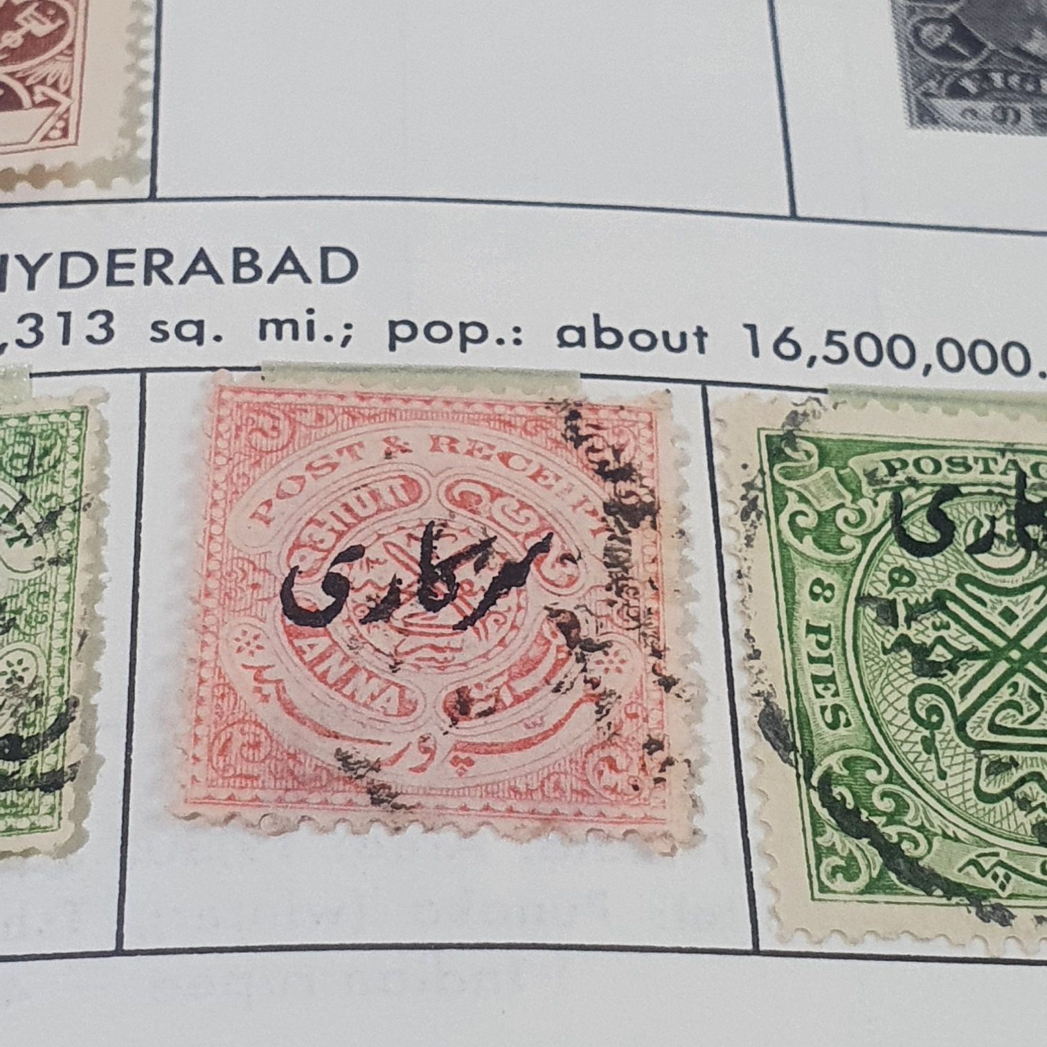 Adopt A Shelter Pet: Boston Terrier