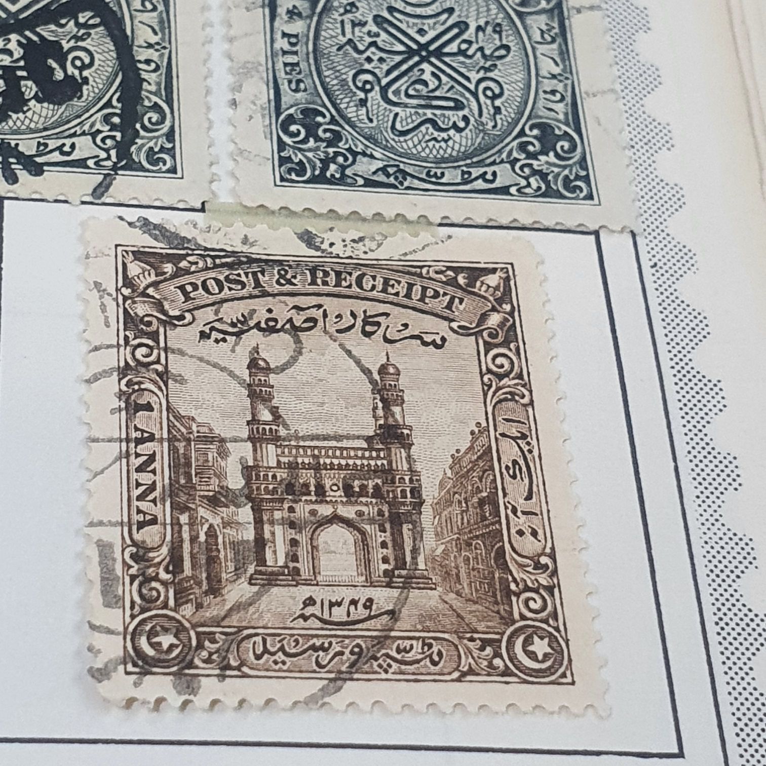 American Owls: Great Grey Owl