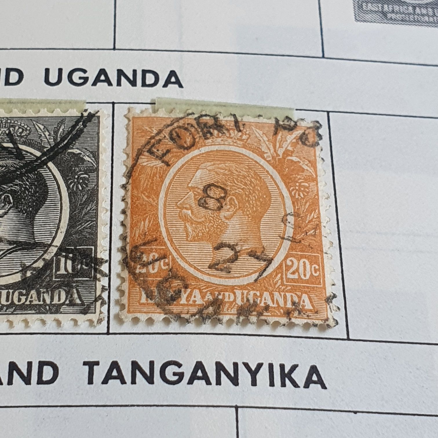 Wedding Series: Wedding Hearts Yellow Background