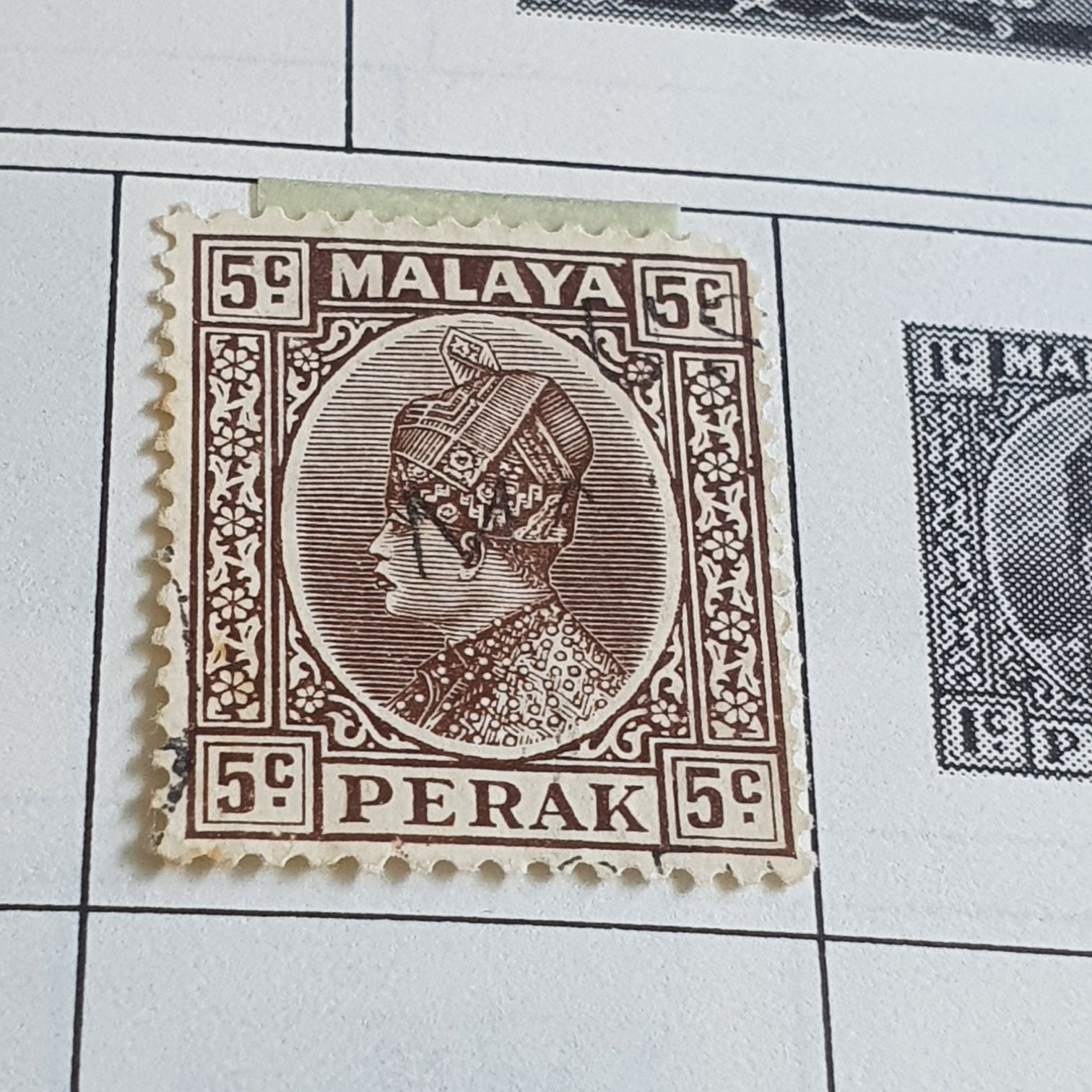 Professional Management