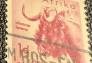 South Africa  stamp collectible - Main Image 3