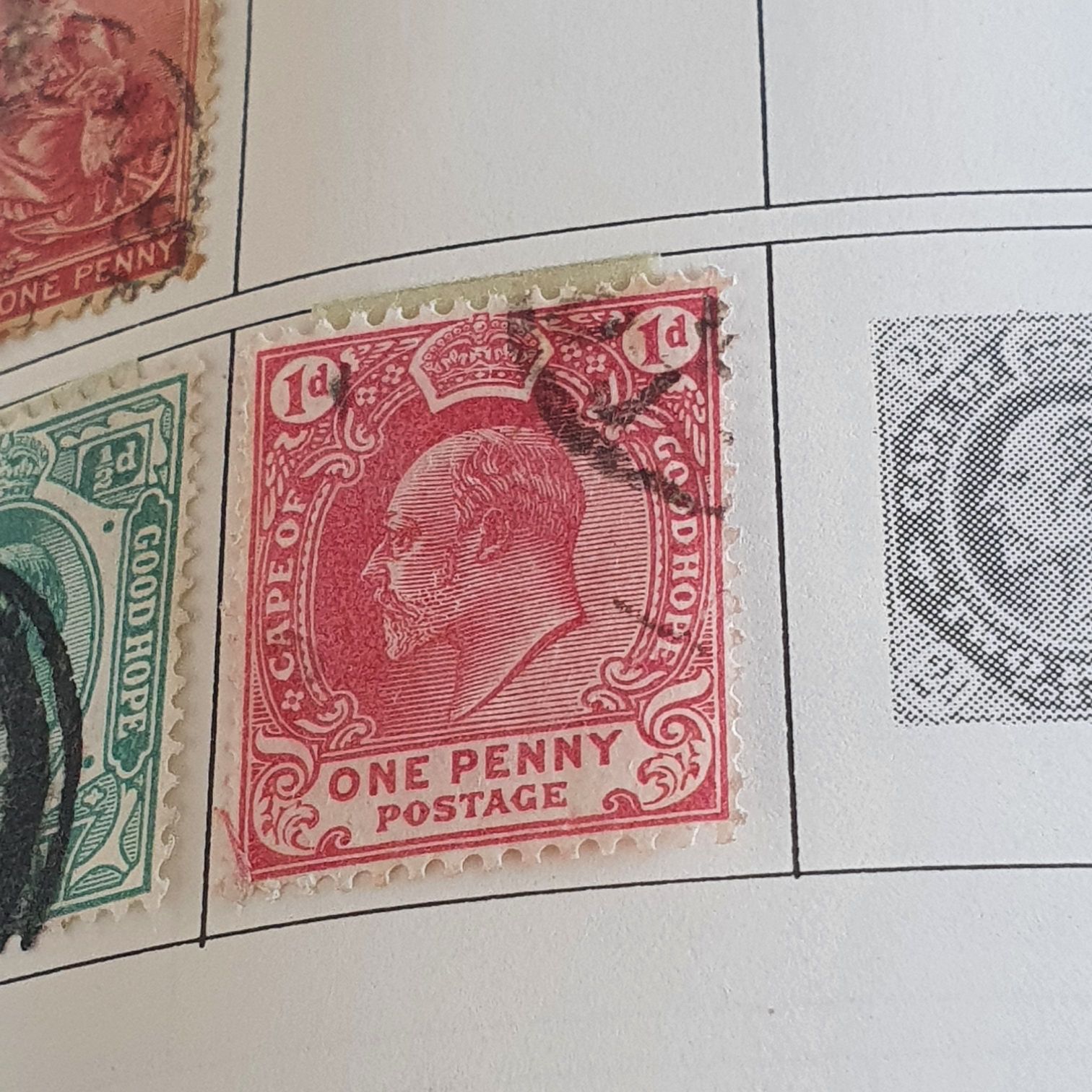 World Forestry Congress