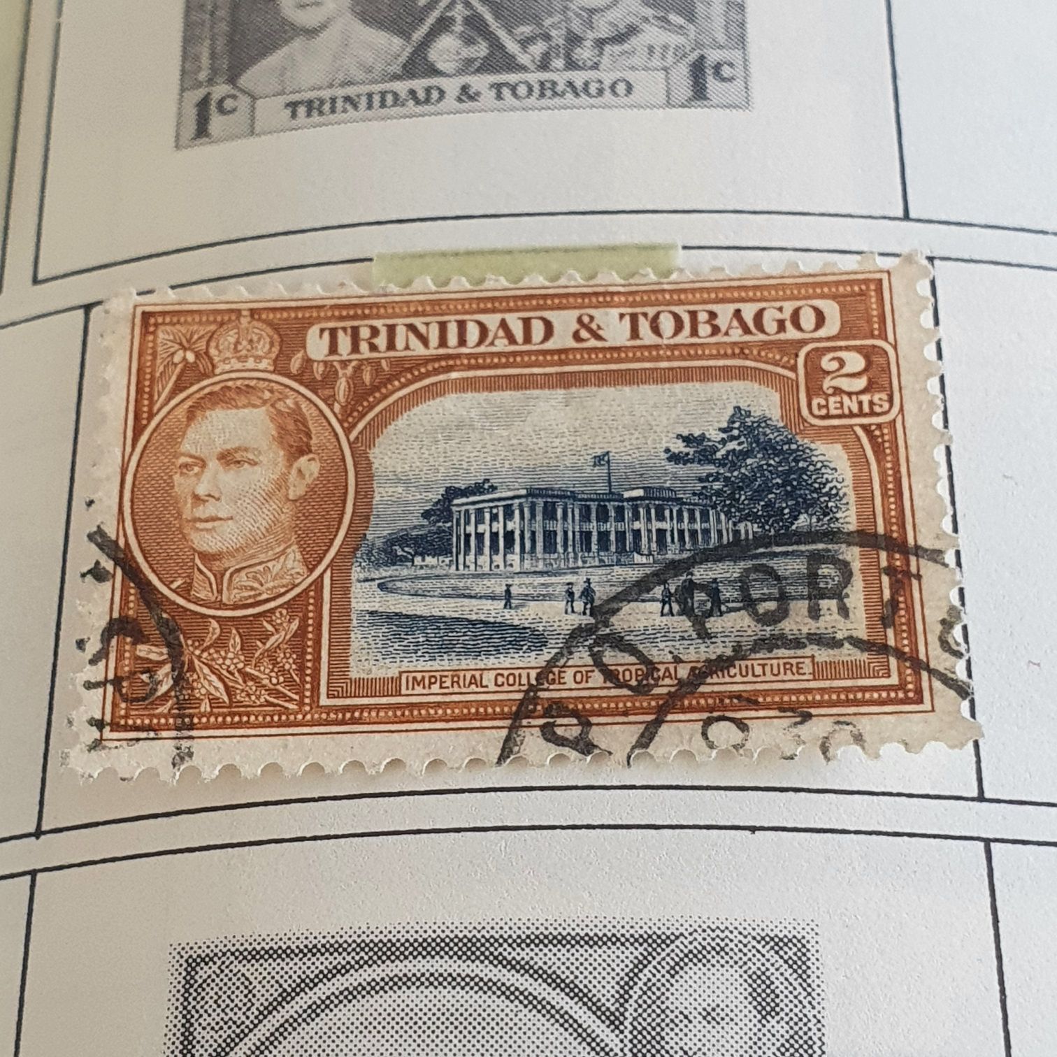 Love Series: Airplane Skywriting