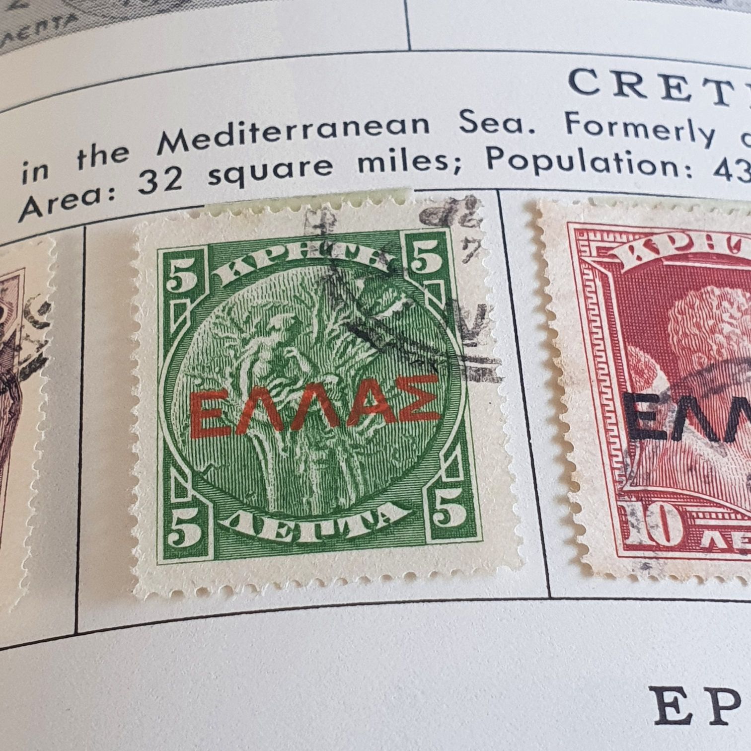 Songbirds: Evening Grosbeak