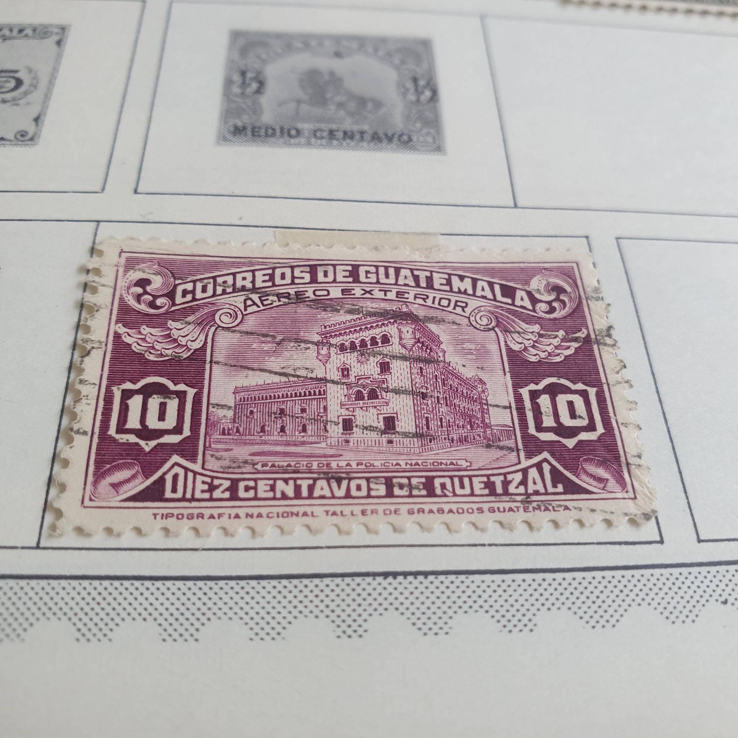 North American Wildlife: Ringtail