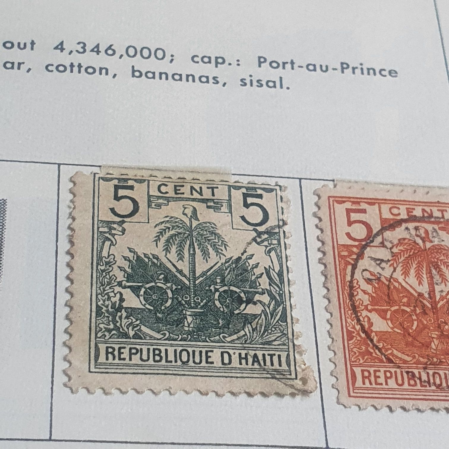 Childrens Book Animals: Fox In Socks