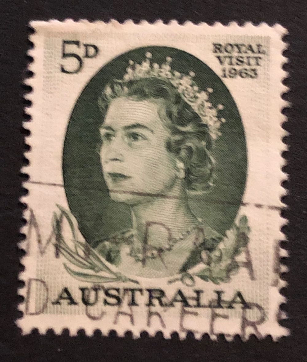 4452 Animal Rescue: Adopt a Shelter Pet — Maltese Cat