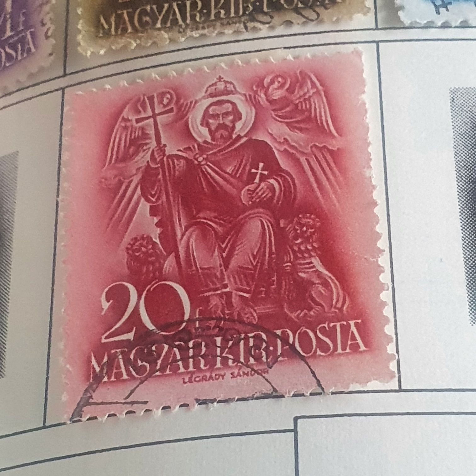 North American Wildlife: Ringtail