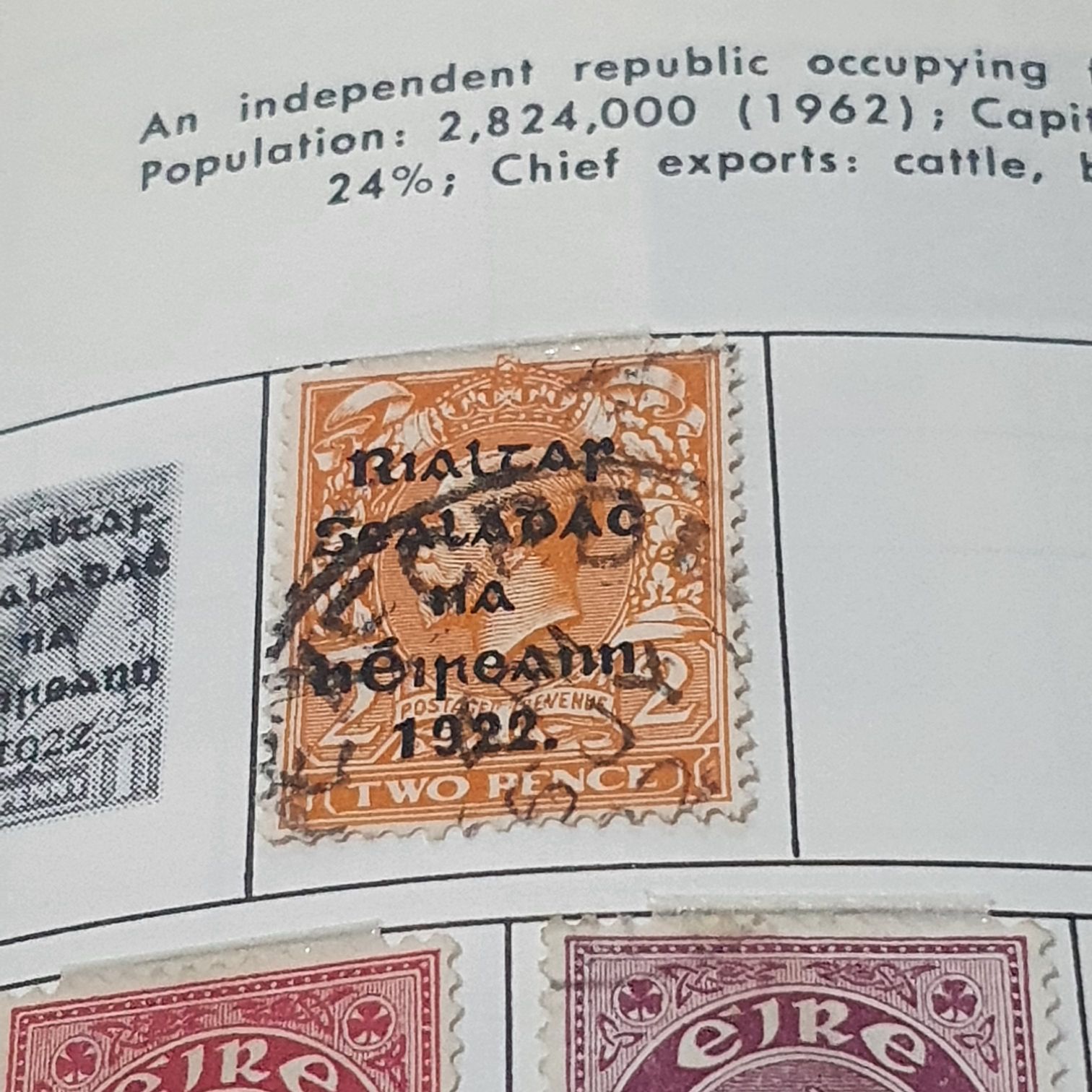 Ornithoptera Meridionalis