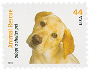 4454 Animal Rescue: Adopt a Shelter Pet — Yellow Labrador Retriever  stamp collectible - Main Image 1