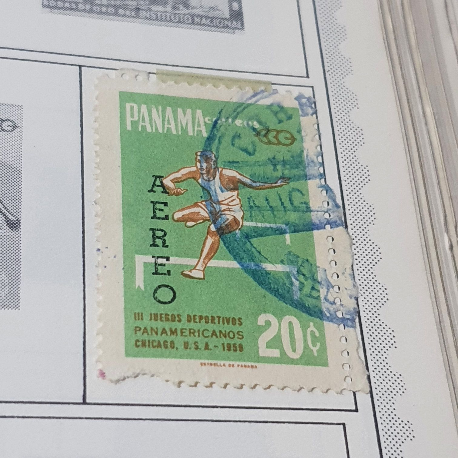 Contemporary Christmas: Aspidistra Wreath