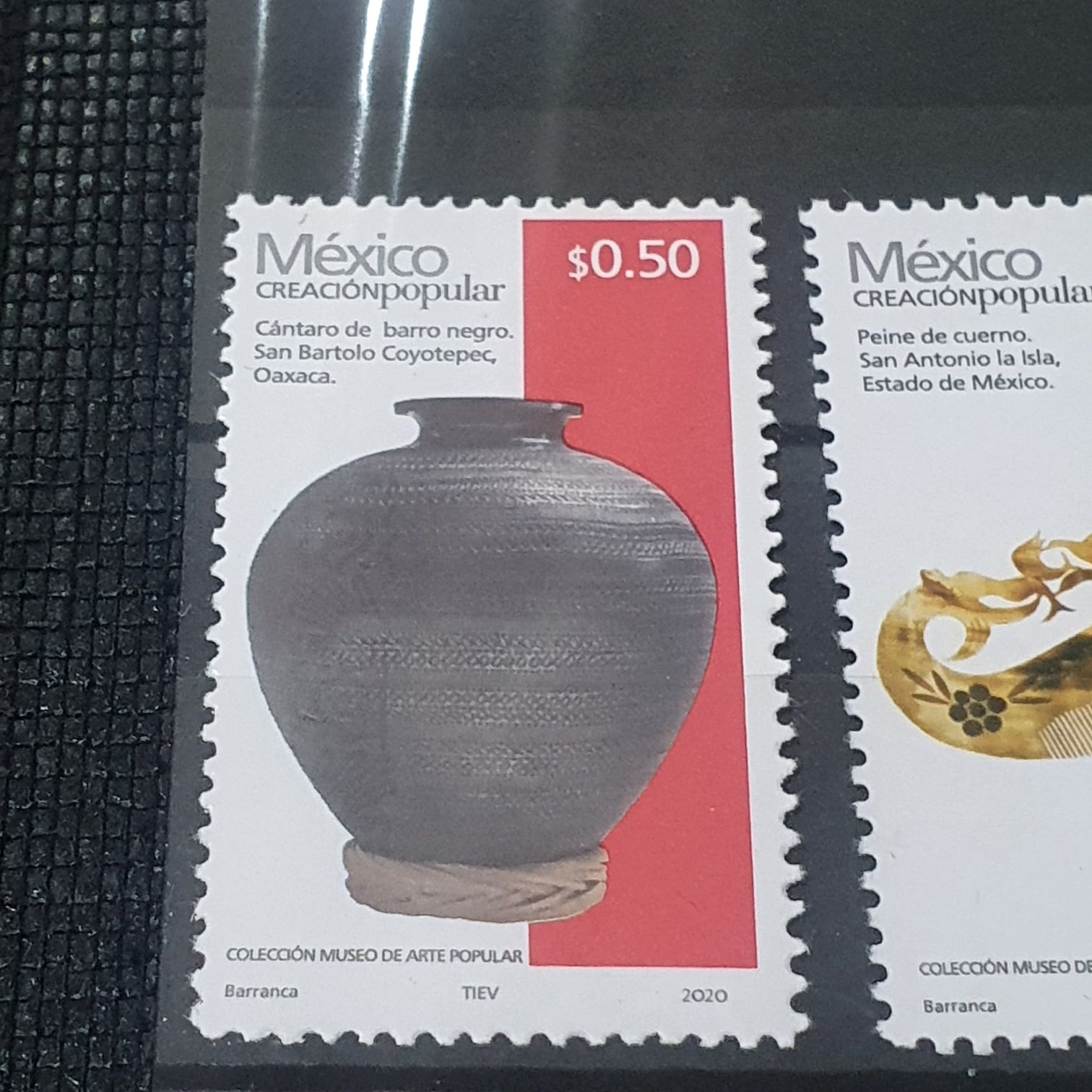 Wildlife Conservation: Trout:Alligator