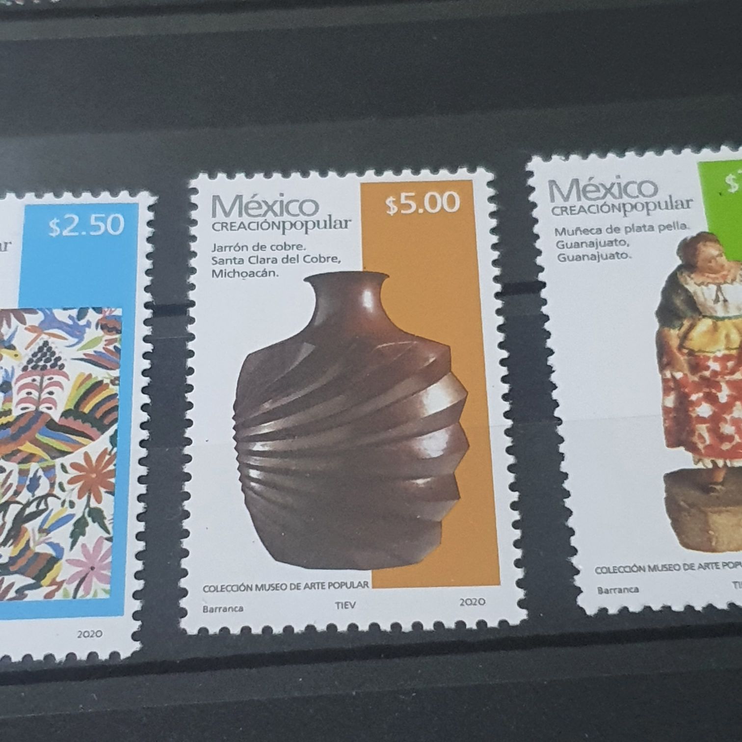 Winter Garden Flowers: Winter Aconite