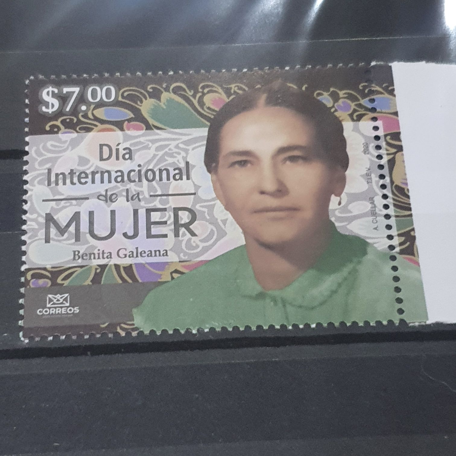 Wildlife Conservation: Polar Bear