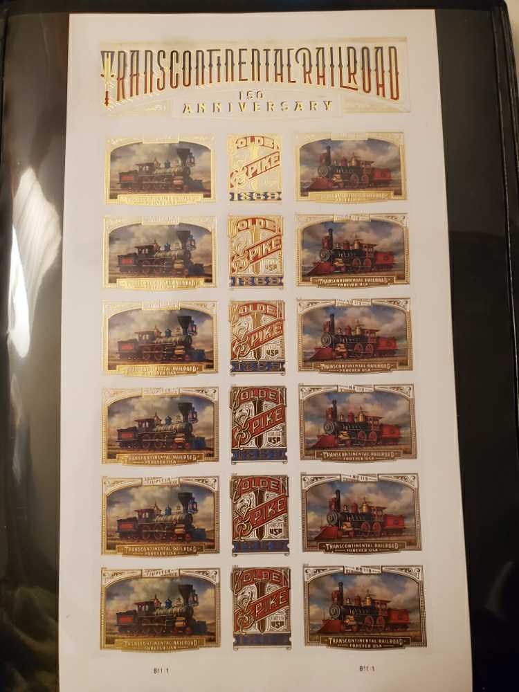 Botanical Congress: Ocotillo