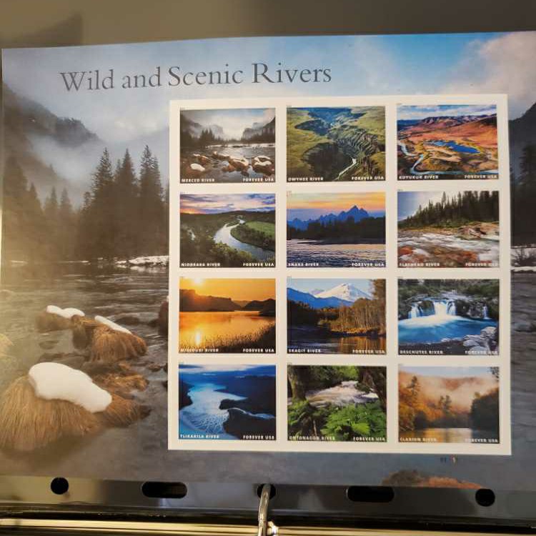 Summer Olympics 1984: Kayak