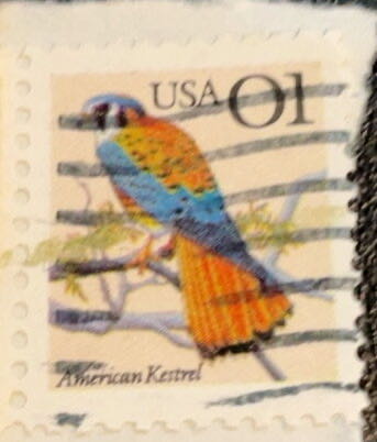American Kestrel  stamp collectible - Main Image 3