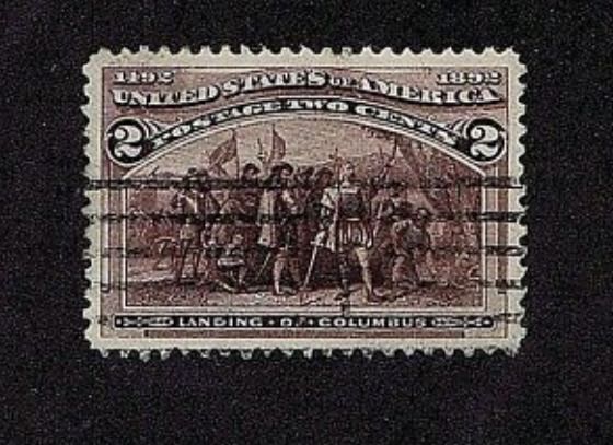 Wildlife Conservation: Buffalo