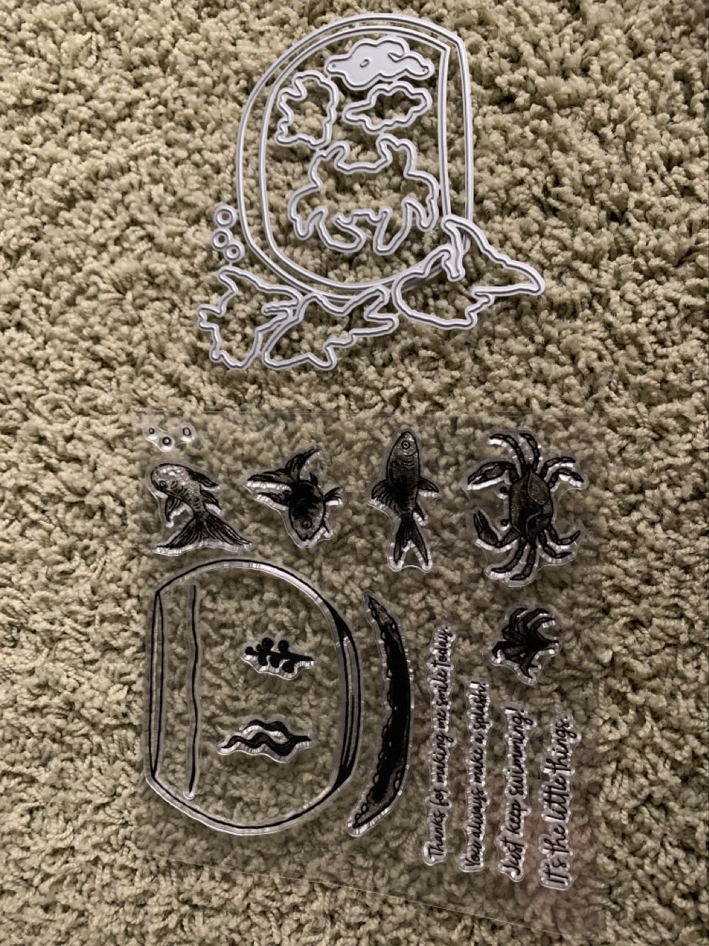 American Owls: Saw Whet Owl