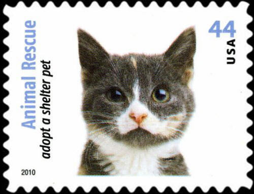 4456 Animal Rescue: Adopt a Shelter Pet — Gray, White & Tan Cat stamp collectible - Main Image 1