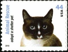 4457 Animal Rescue: Adopt a Shelter Pet — Black, White, and Tan Cat  stamp collectible - Main Image 1