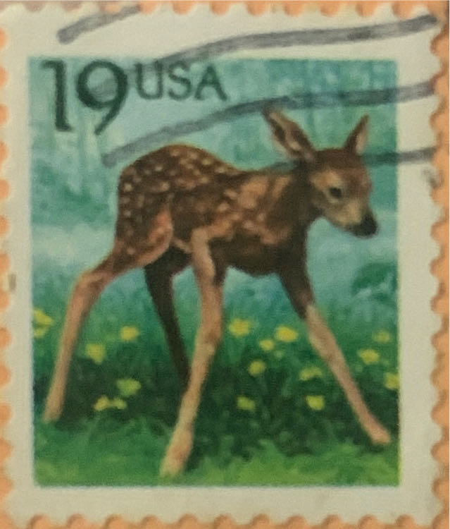 Flora And Fauna Series: Fawn  stamp collectible - Main Image 2