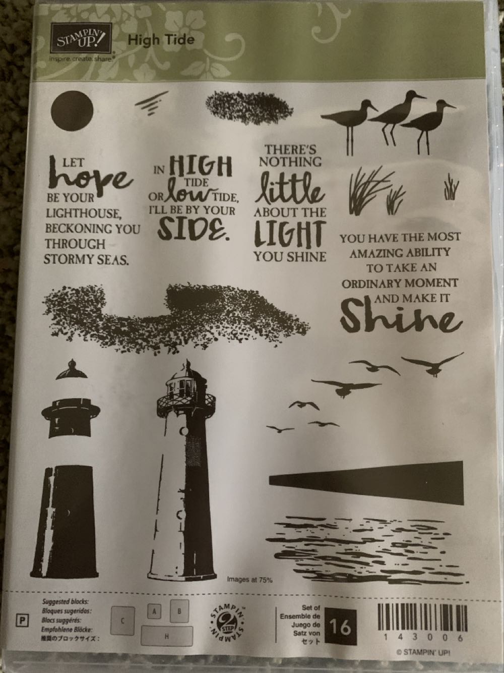 Vulcanologia Y Sismologia